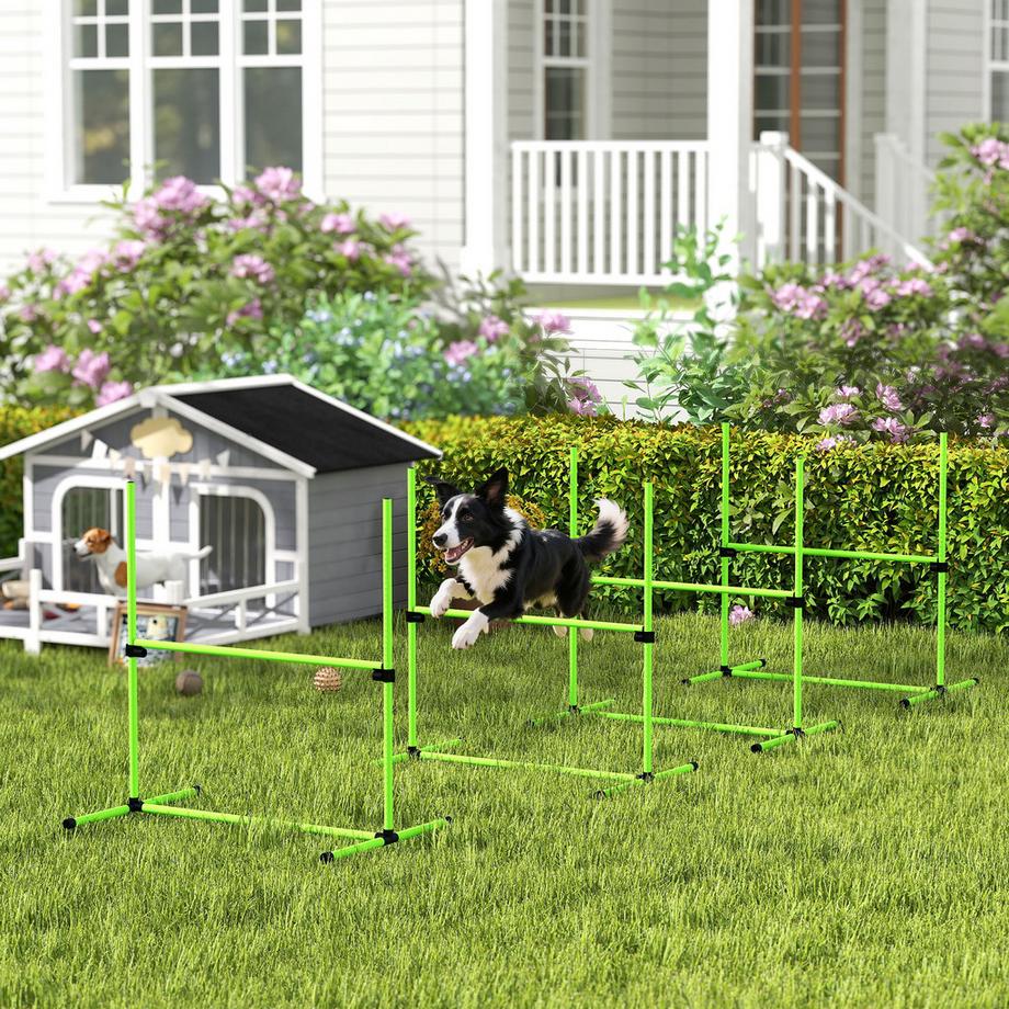 PawHut  Agility Set Hunde 