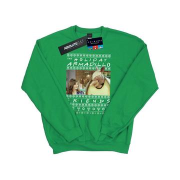 Holiday Armadillo Sweatshirt