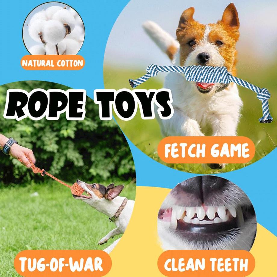 Activity-board  Jouets pour Chiots et Petits Chiens Nettoyage des Dents Jouet pour Chiot pour Chiens 