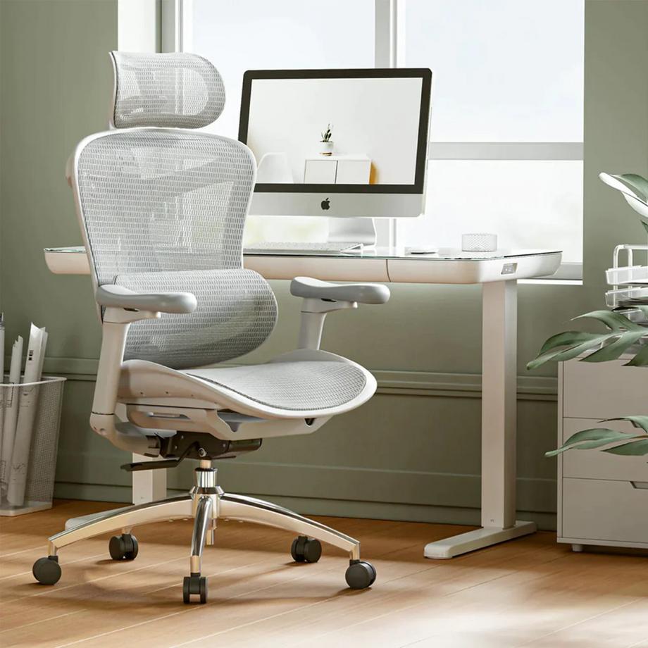 SIHOO C300 Siège ergonomique  