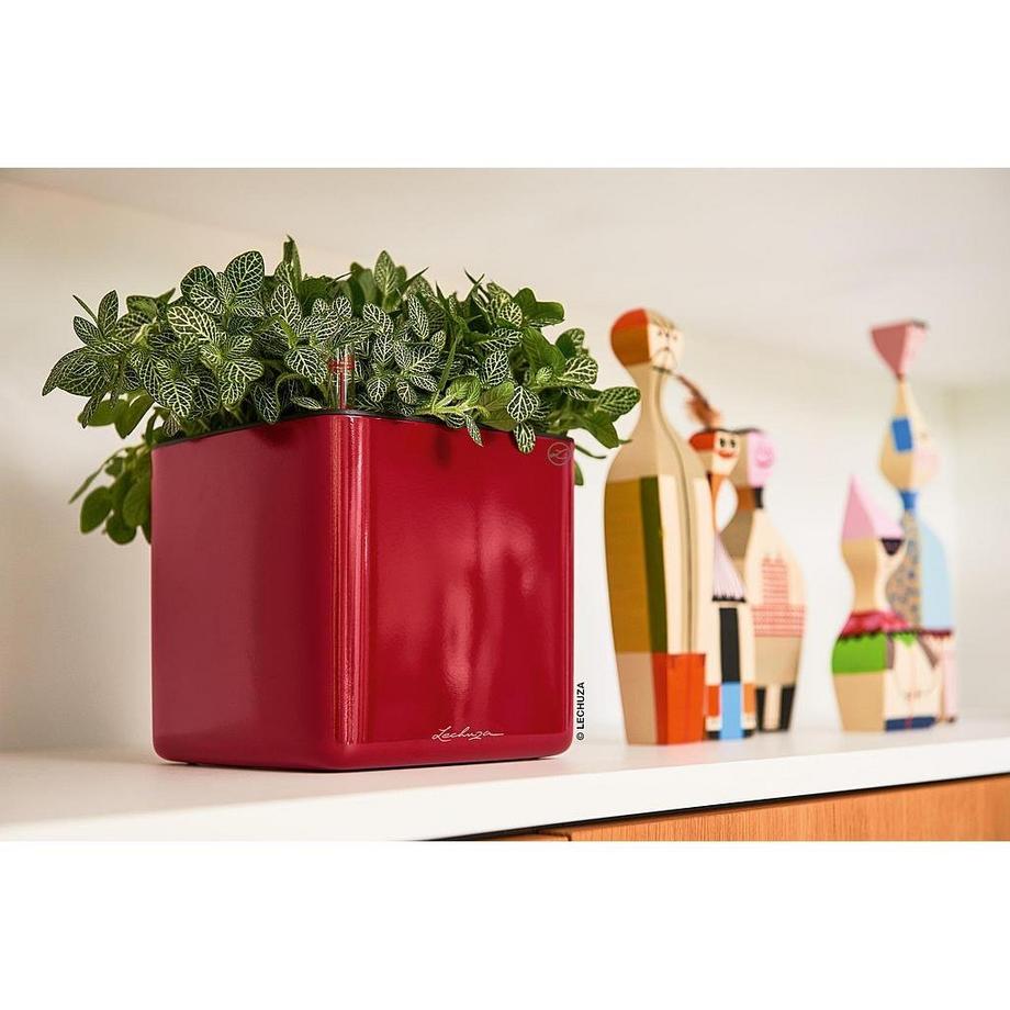 Lechuza CUBE Glossy all-in-one  