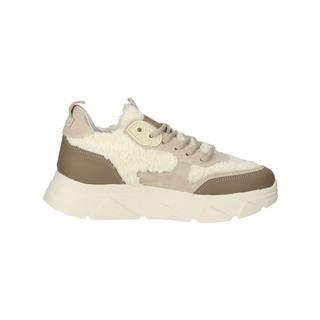 STEVE MADDEN  Sneaker 