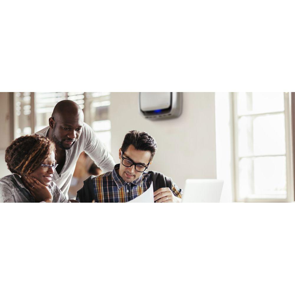 Fellowes FELLOWES Filter Booster 9544402 für AeraMax Pro II 2 Stk.  