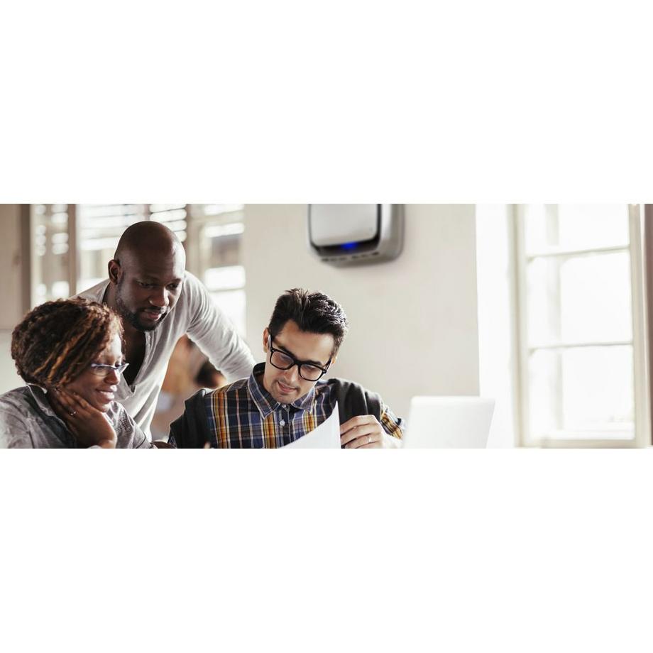 Fellowes FELLOWES Filter Booster 9544402 für AeraMax Pro II 2 Stk.  