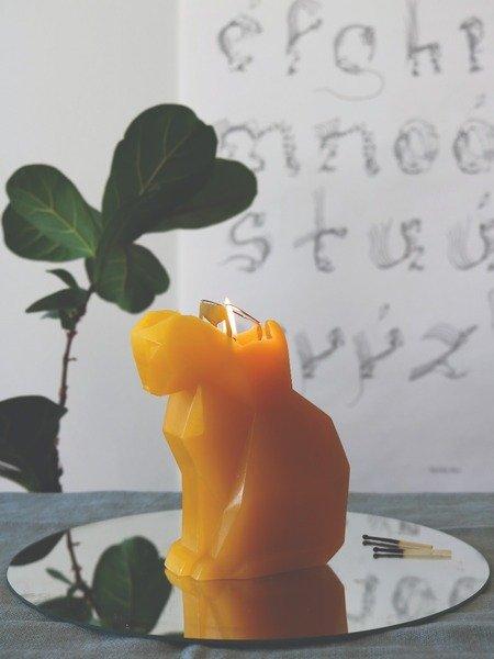 PyroPet PyroPet Kisa  