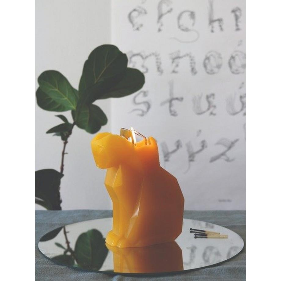 PyroPet PyroPet Kisa  