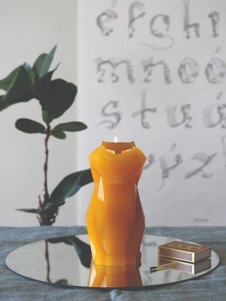 PyroPet PyroPet Kisa  