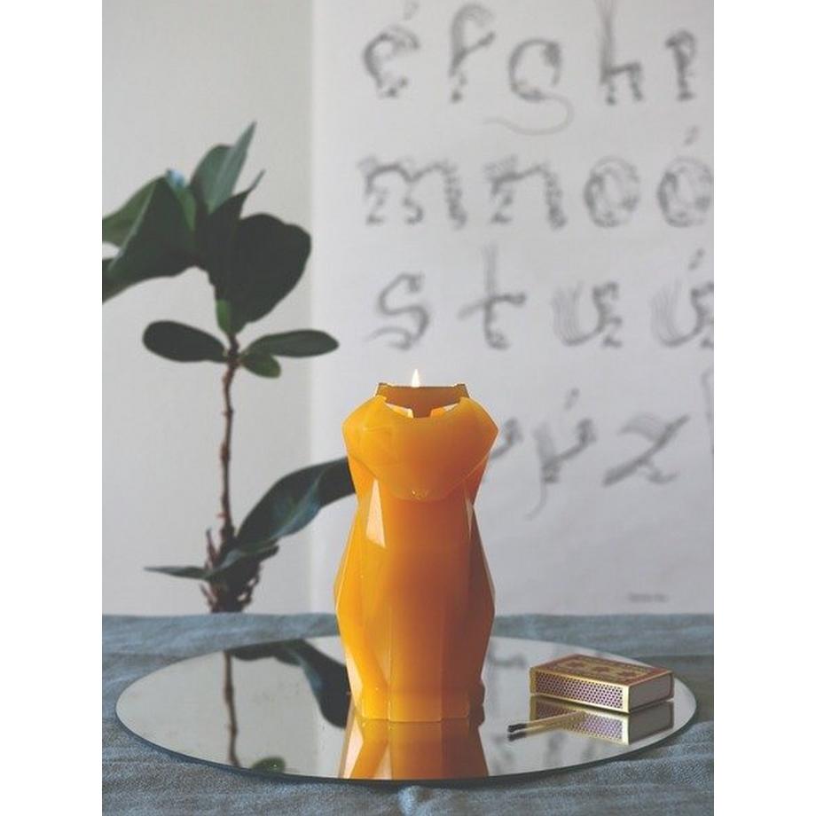 PyroPet PyroPet Kisa  