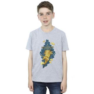 DC COMICS  Fury Of The Gods TShirt 