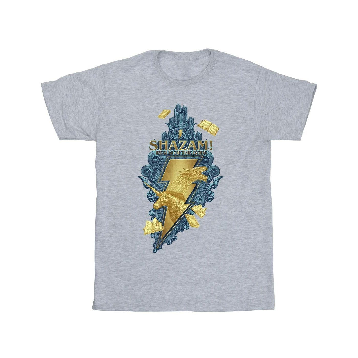 DC COMICS  Fury Of The Gods TShirt 