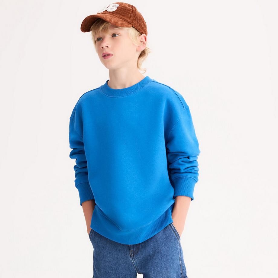 La Redoute Collections  Sweatshirt mit Rundhalsausschnitt 