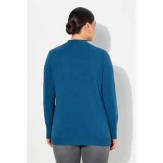 Ulla Popken  Pullover, Stehkragen, Langarm, Rippbündchen 