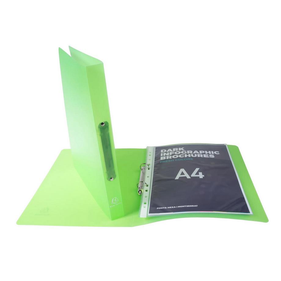 Exacompta Classeur 2 anneaux 20 mm polypropylène Chromaline - A4 - x 20  