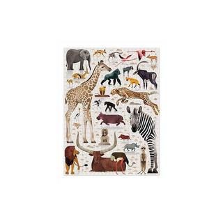 Crocodile Creek  World of African Animals 750 pc, Crocodile Creek 