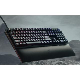 RAZER  Huntsman V2 Analog - Deutschland 