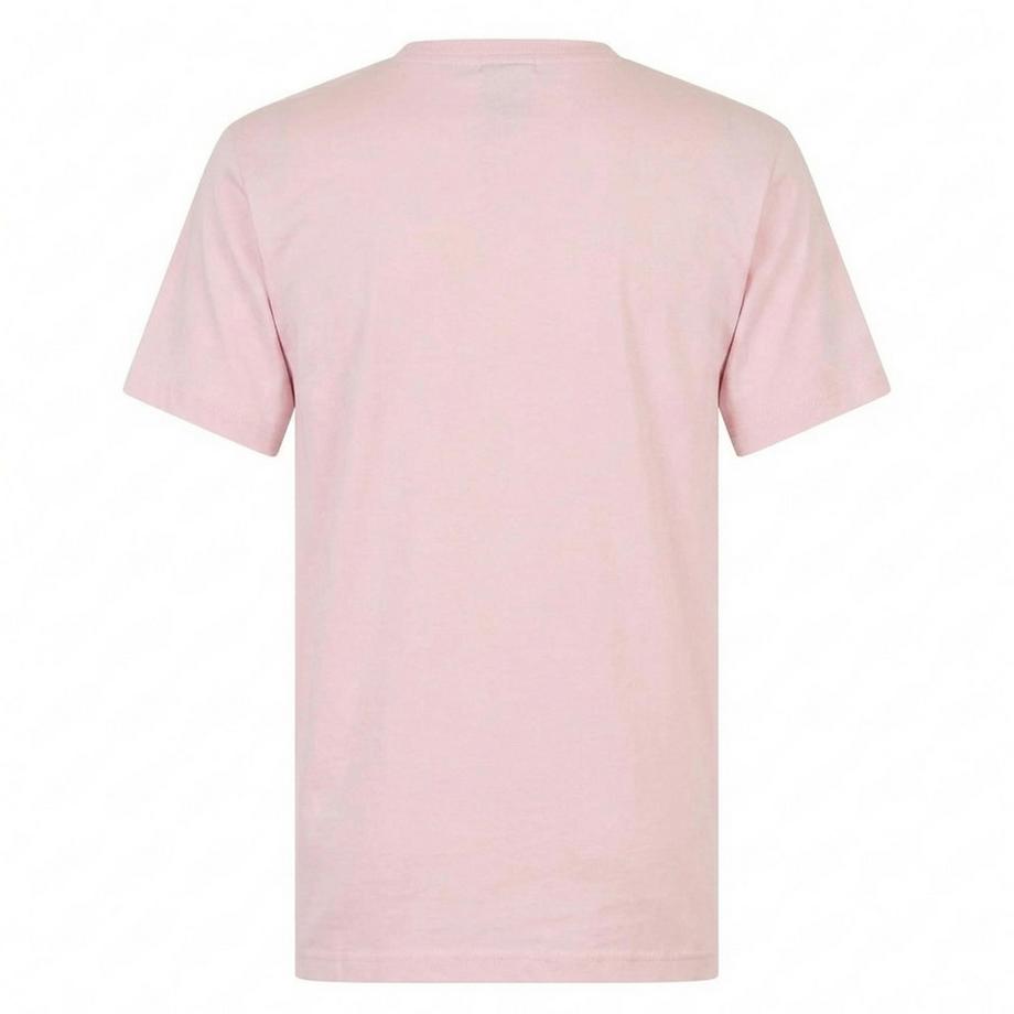 REPLAY Diamond Grafikdruck T-Shirt  