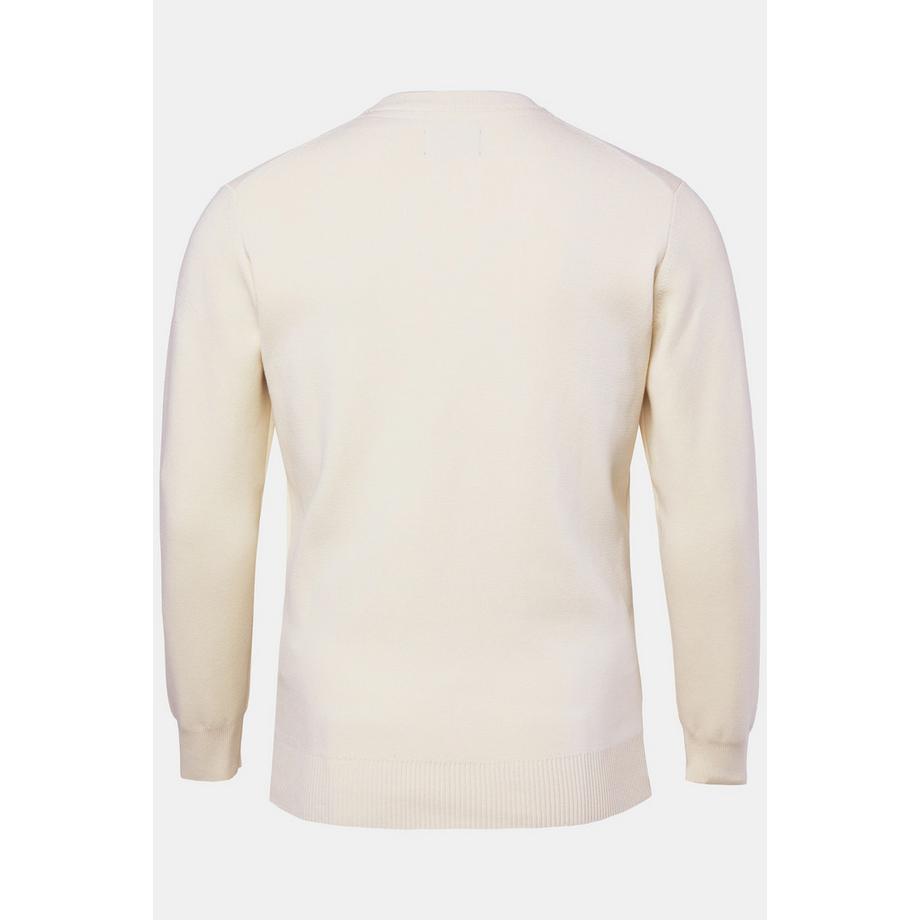 JP1880 Elastischer Strick Rundhals Pullover  