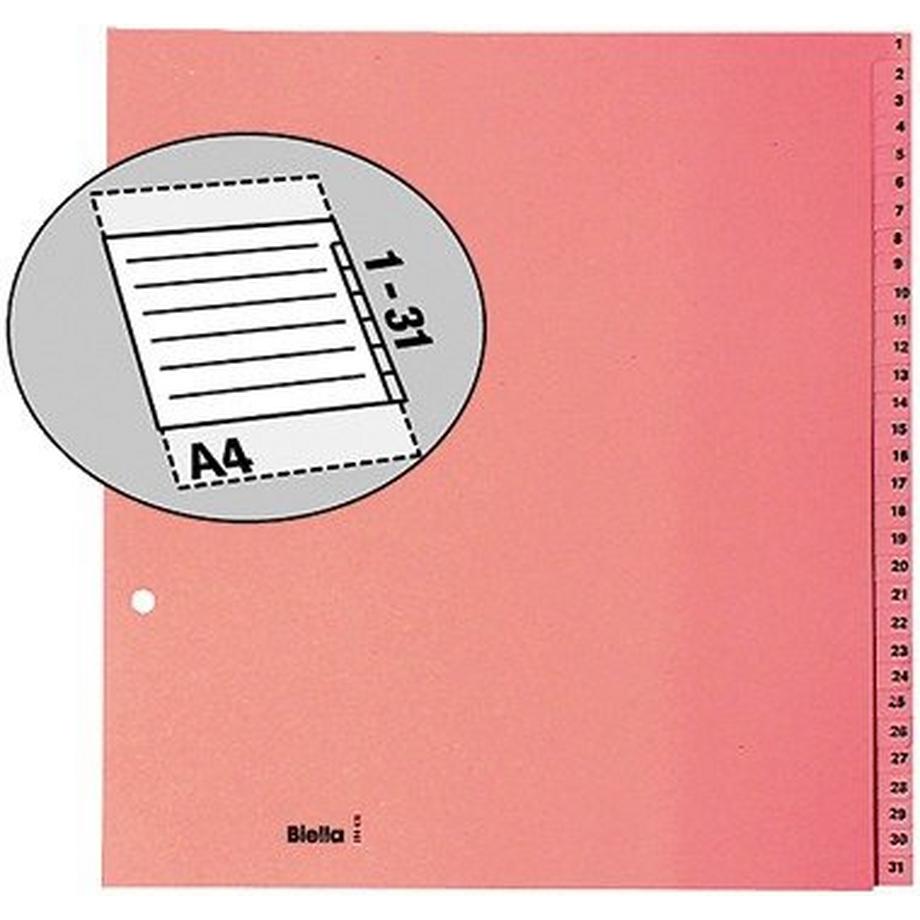 Biella BIELLA Register Karton braun A4 19443100 1-31  