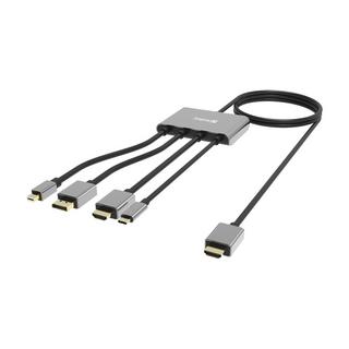 Sandberg  Sandberg 509-21 cavo e adattatore video 2 m HDMI tipo A (Standard) DisplayPort + Mini DisplayPort + HDMI + USB Type-C Nero 