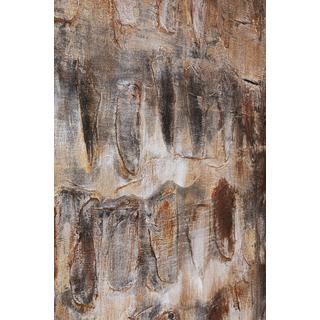 KARE Design Leinwandbild Shadows 90x120  