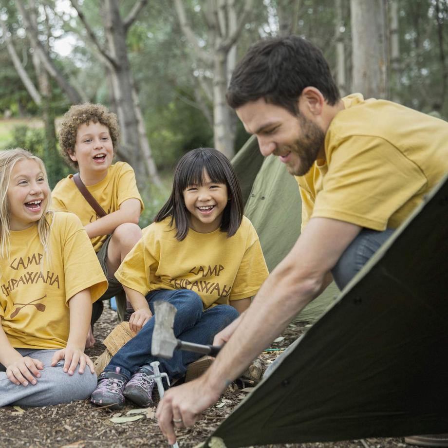 Northix  Zeltheringe 12er Set 