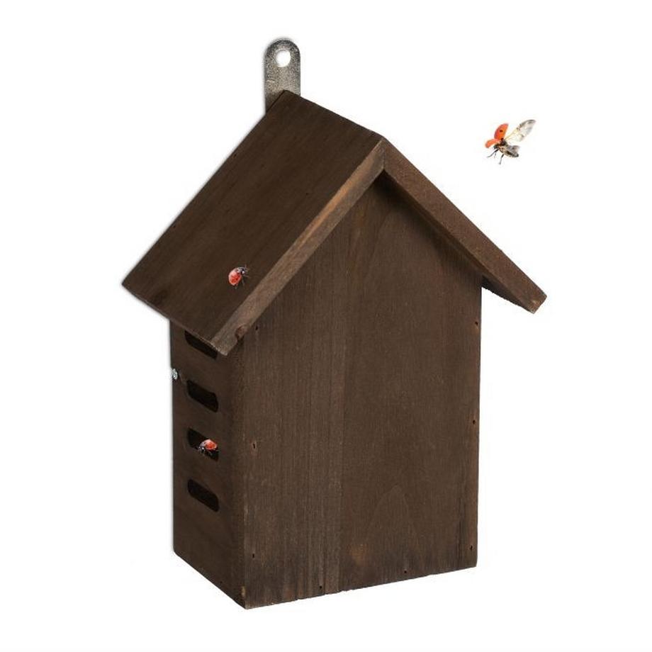Northio  Marienkäferhaus aus Holz 