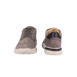 Ganter  George - Basket nubuck 