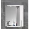VCM Badspiegel Wandspiegel 50 cm Hängespiegel Spiegelschrank Badezimmer Drehtür Beleuchtung Lisalo M  