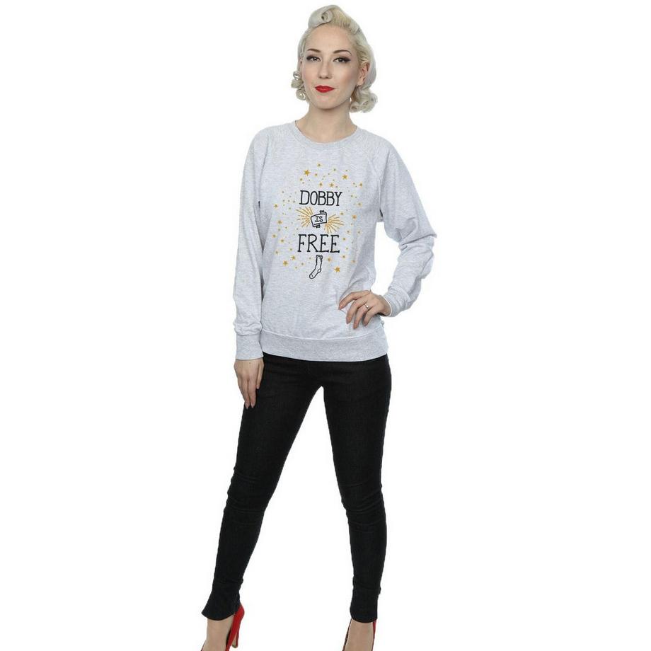 Harry Potter Dobby Is Free Sweatshirt  