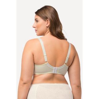 Ulla Popken  Reggiseno con ferretto, jersey a costine, pizzo e coppe morbide, coppa C-D 