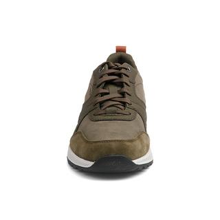 GEOX  sneakers molveno 