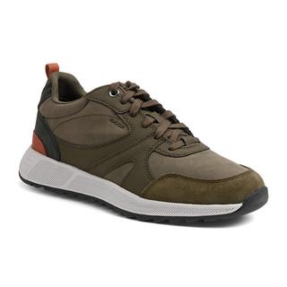 GEOX  sneakers molveno 