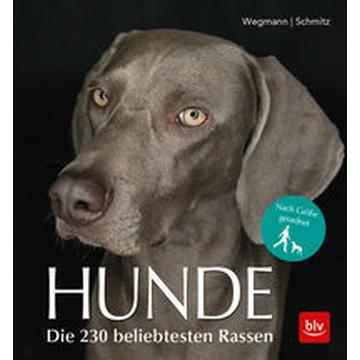 Hunde