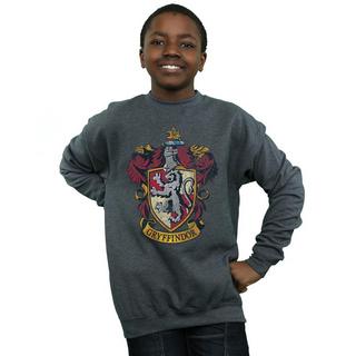 Harry Potter  Sweat 