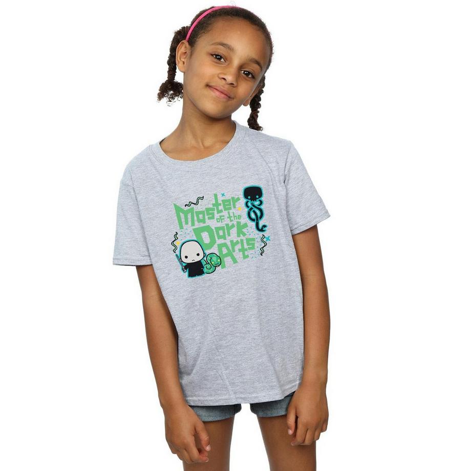 Harry Potter  Voldemort Dark Arts Junior TShirt 