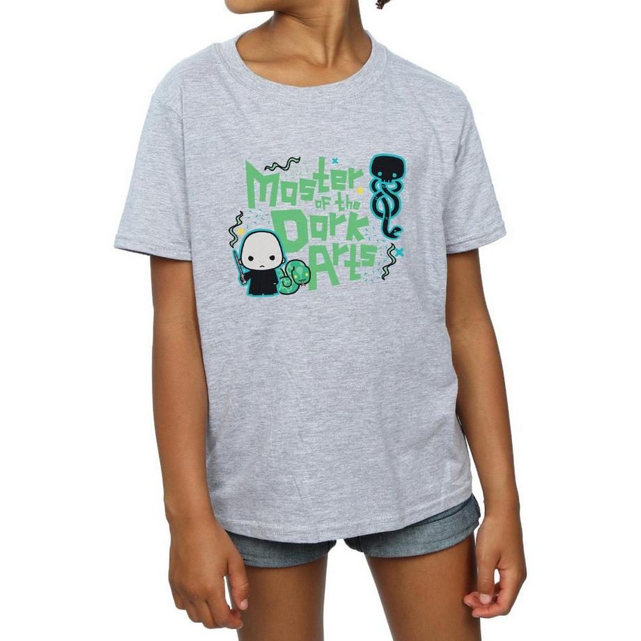 Harry Potter  Voldemort Dark Arts Junior TShirt 
