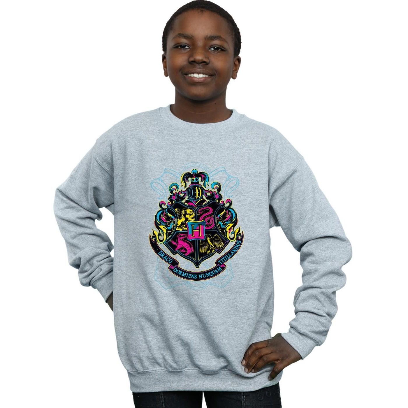 Harry Potter  Hogwarts Sweatshirt 