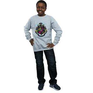 Harry Potter  Hogwarts Sweatshirt 