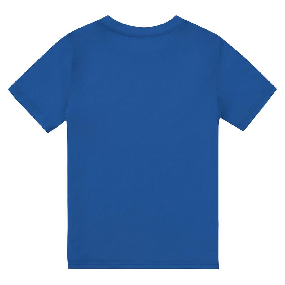 minions  One In A Minion TShirt 