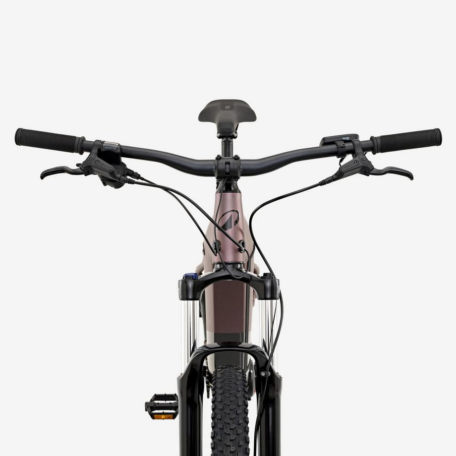 ROCKRIDER  Touren-E-Mountainbike Hardtail 29" mit Aluminiumrahmen, E-EXPL 500 