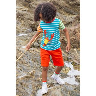 frugi  Jungen T-Shirt Hotchpotch 