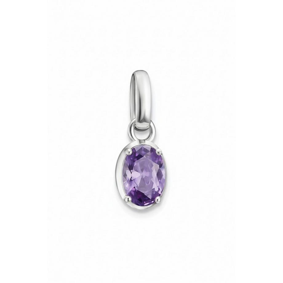 Thomas Sabo  anhänger Charm Geburtsstein Februar Connect 