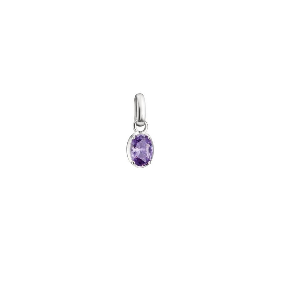 Pendentif Charm Pierre de Naissance Février Connect
