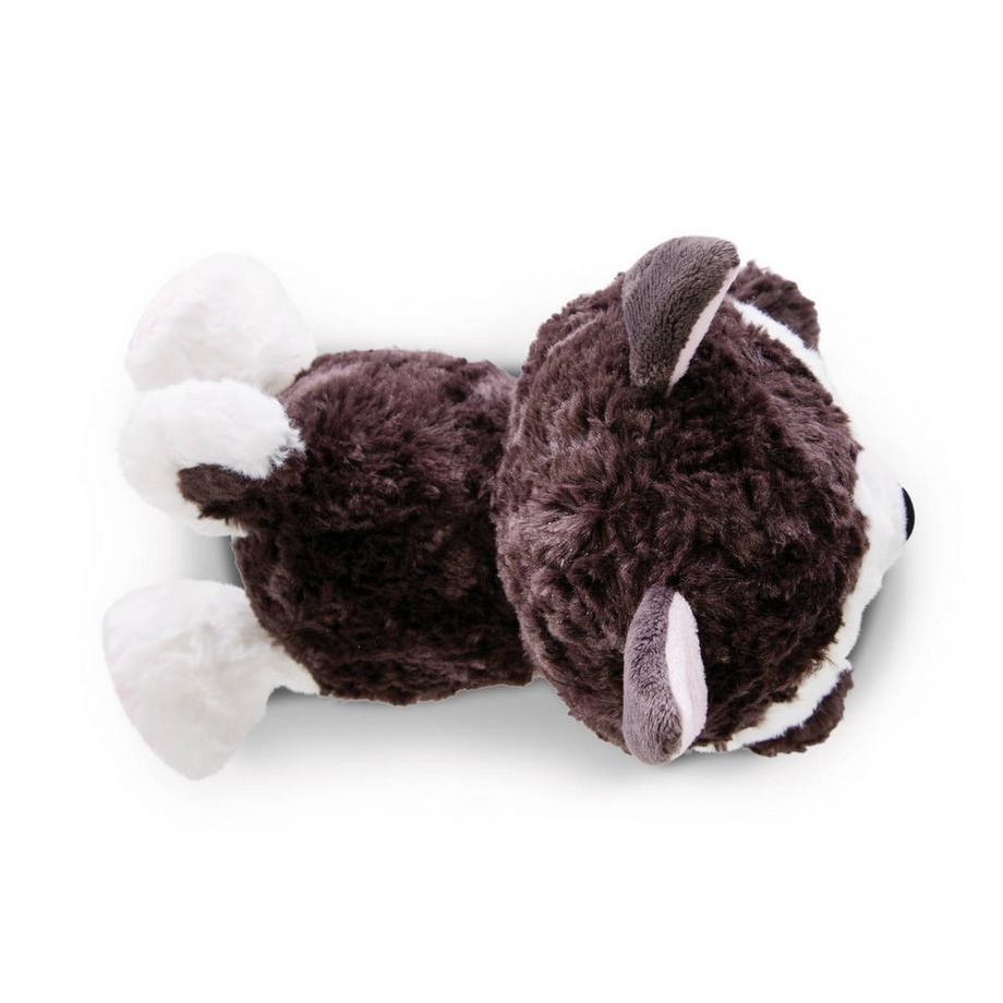 NICI  Glubschis Husky Barkley (25cm) 