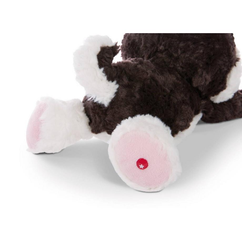 NICI  Glubschis Husky Barkley (25cm) 