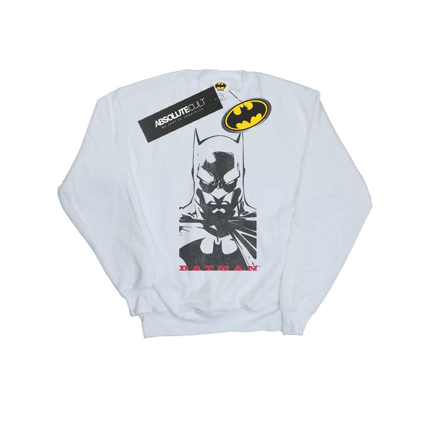 DC COMICS  Sweatshirt 