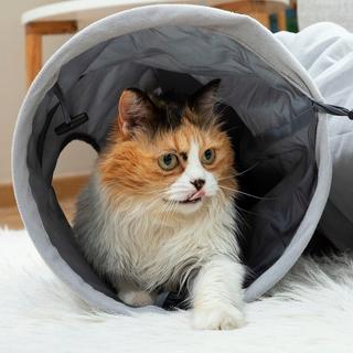 InnovaGoods  Lustiger Tunnel für Katze – faltbar 