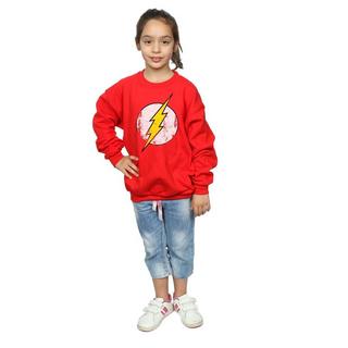 DC COMICS  Sweatshirt 