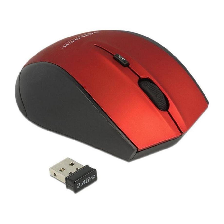 DeLock  12493 (Kabellos) 