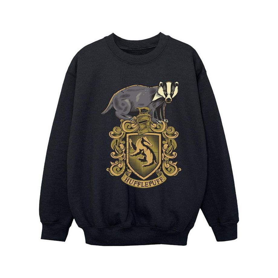 Harry Potter  Sweat HUFFLEPUFF 